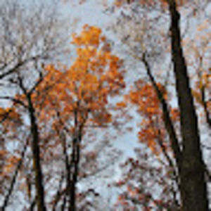 Meet your Posher, Jillian